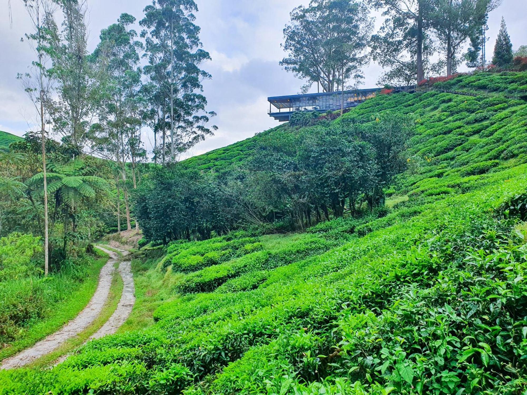 Clocktower 2 Homestay 2-7 Pax At Brinchang, Cameron Highlands Exterior foto